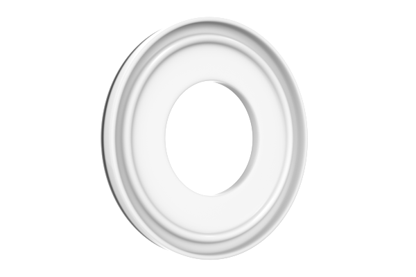 CS-TYPE PTFE ヘルールガスケット